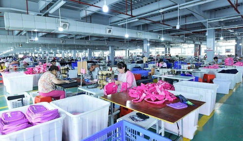 煙臺(tái)大龍開(kāi)發(fā)區(qū) 軟件產(chǎn)品揚(yáng)帆出海 打響全球品牌