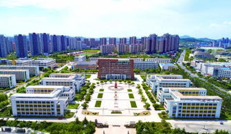 煙臺(tái)物聯(lián)網(wǎng)技術(shù)學(xué)習(xí)與軟件開發(fā)培訓(xùn)全攻略